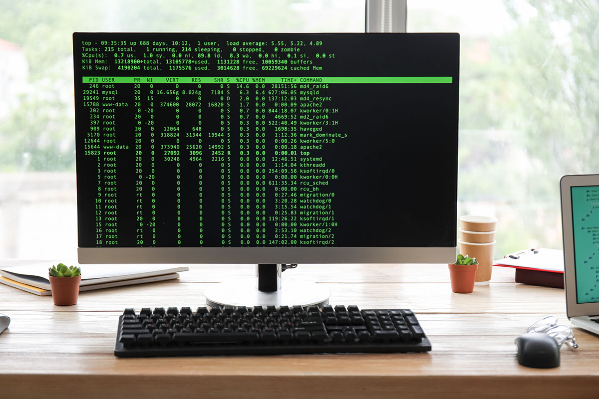 A desktop monitor on a wooden office desk showing a green command-line process list, with a keyboard, mouse, small potted plants and a laptop at the edge of the frame